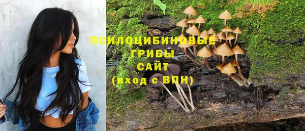 мефедрон Медногорск